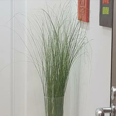Tamb&b2 招待所 博洛尼亚